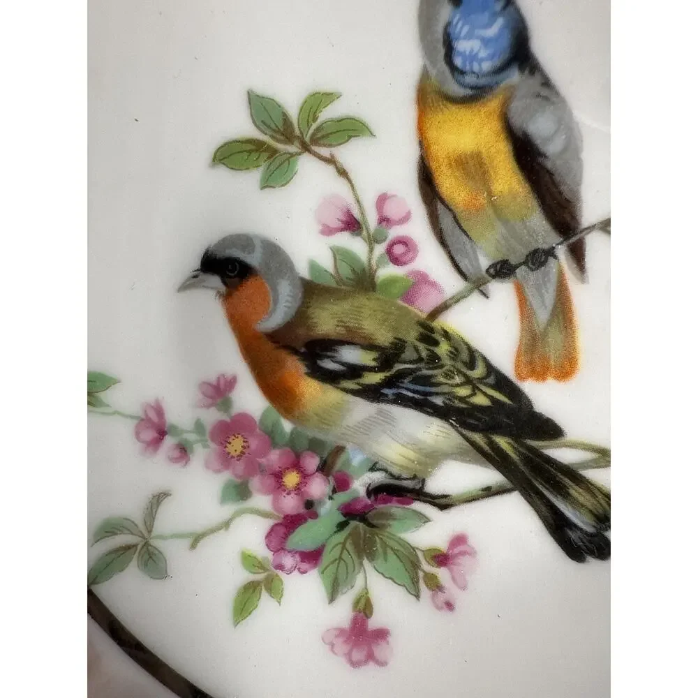 Vintage Japan Bird Plate Gold Trim Porcelain Wall Gallery Decor to Hang